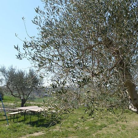 Hotel Agriturismo Il Merollo Todi Exteriér fotografie